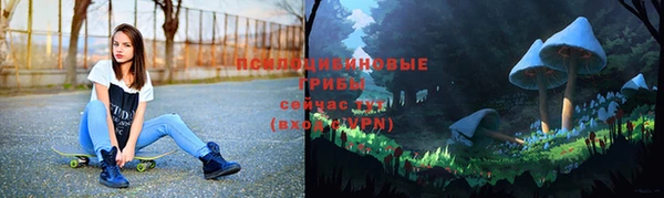 твердый Алексеевка