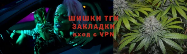 тгк Алзамай