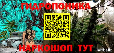 стафф Магадан