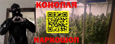 тгк Пушкино
