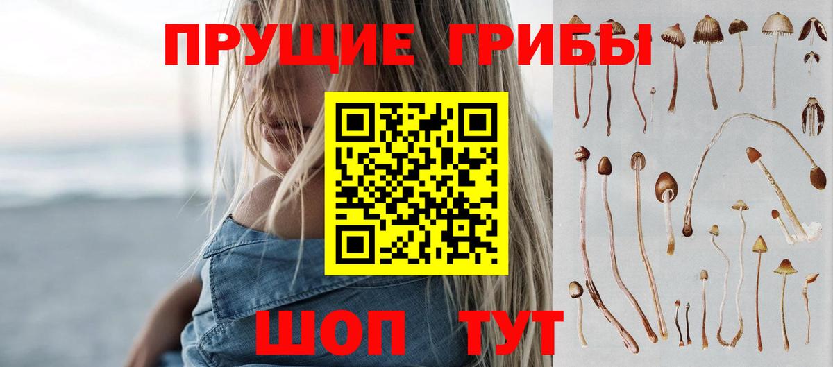 купить наркотики цена  Вход с VPN  Галлюциногенные грибы мухоморы  Осинники  Галлюциногенные грибы MAGIC MUSHROOMS 