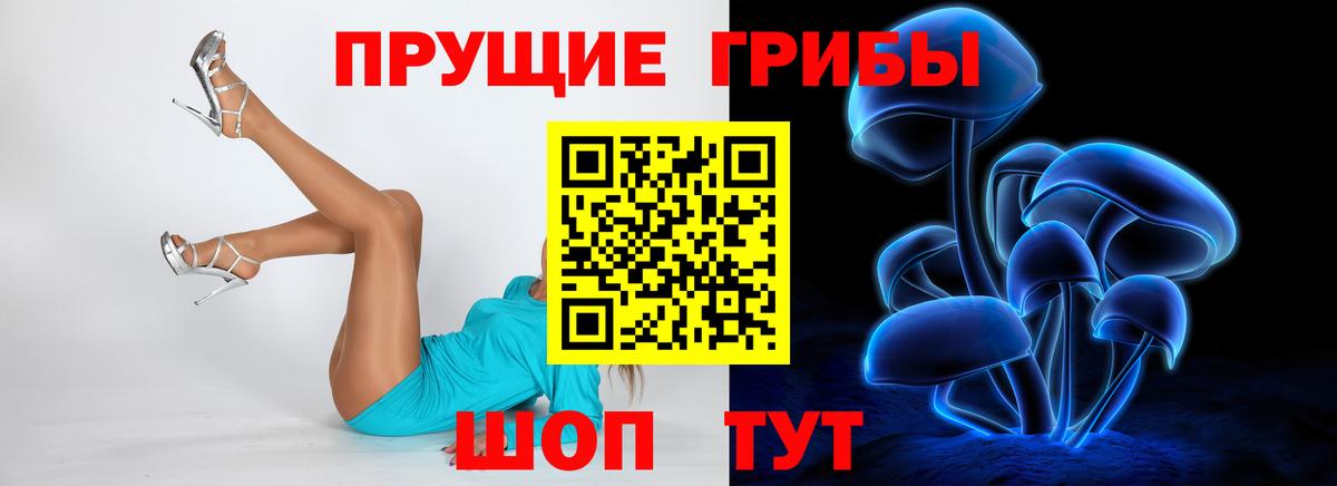 Псилоцибиновые грибы мухоморы Осинники